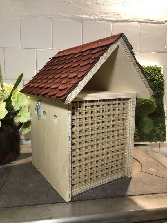 Mauerbienen Haus